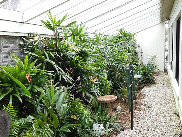 Aviary inside of dentist office in Brandon, FL