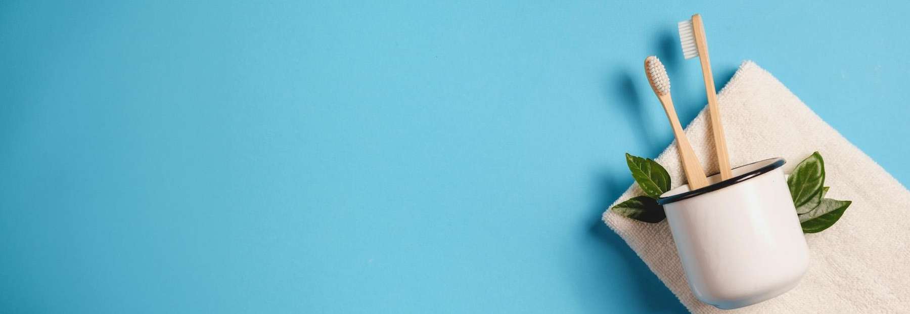 image of a toothbrush in brandon fl